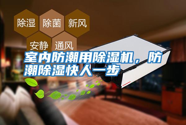 室內防潮用除濕機，防潮除濕快人一步