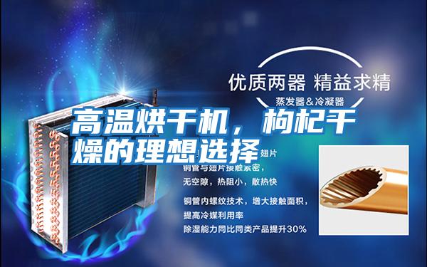 高溫烘干機，枸杞干燥的理想選擇