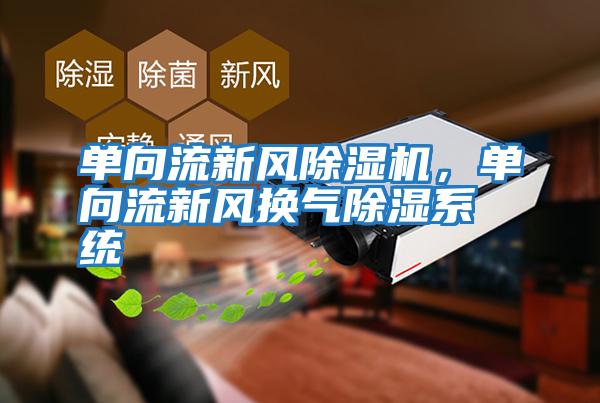 單向流新風除濕機，單向流新風換氣除濕系統