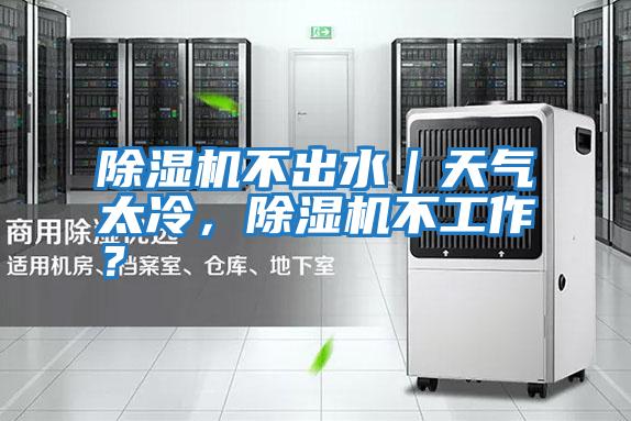 除濕機(jī)不出水｜天氣太冷，除濕機(jī)不工作？