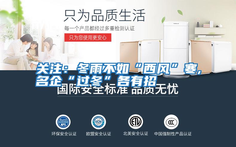 關注：冬雨不如“西風”寒,名企“過冬”各有招