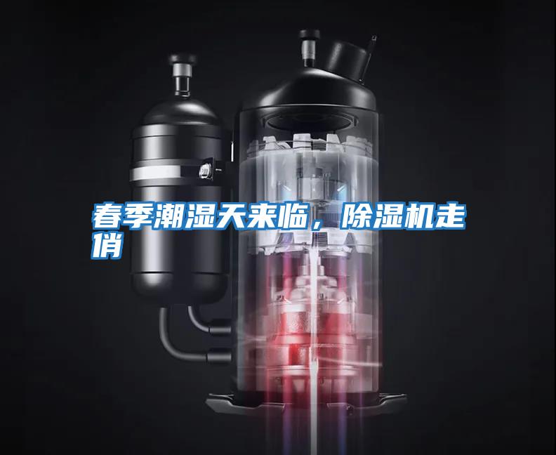 春季潮濕天來臨，除濕機走俏
