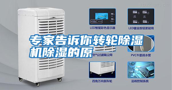 專家告訴你轉輪除濕機除濕的原