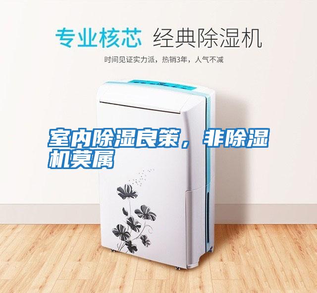 室內除濕良策，非除濕機莫屬