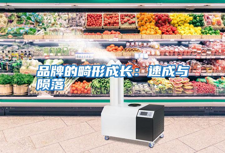 品牌的畸形成長:速成與隕落