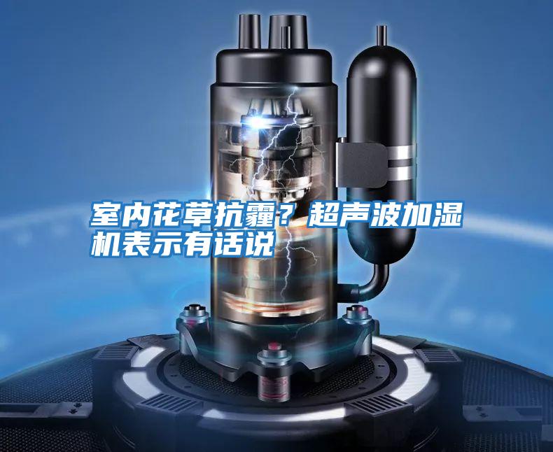室內花草抗霾？超聲波加濕機表示有話說