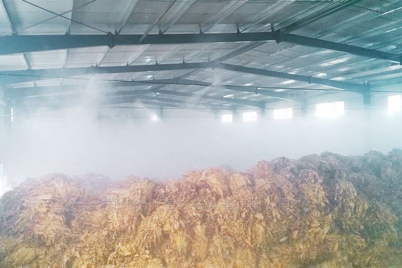 提升煙葉加工質量,高效回潮很重要