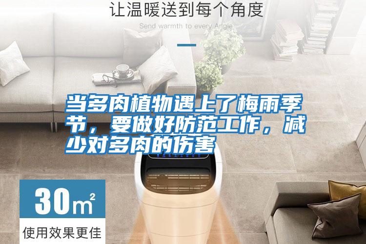 當多肉植物遇上了梅雨季節，要做好防范工作，減少對多肉的傷害
