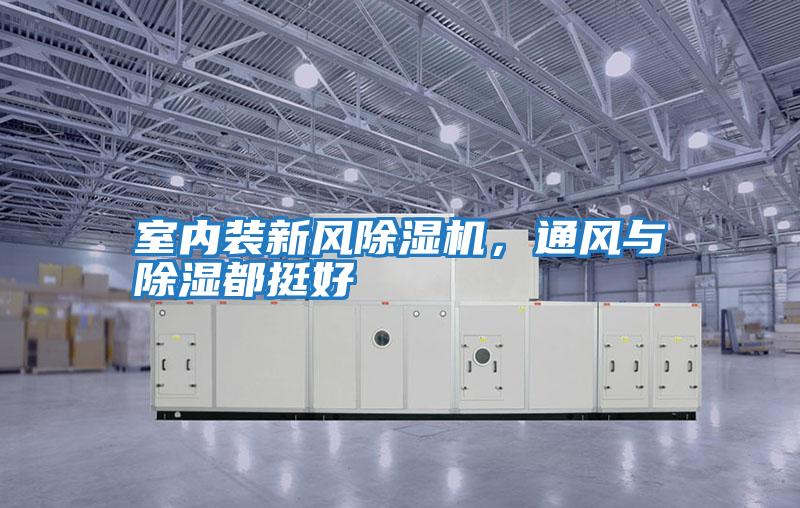 室內裝新風除濕機，通風與除濕都挺好