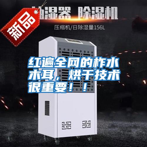 紅遍全網的柞水木耳，烘干技術很重要?。?/></p>
						    <p style=