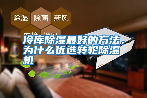 冷庫除濕最好的方法，為什么優(yōu)選轉(zhuǎn)輪除濕機