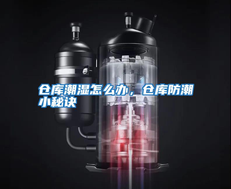 倉庫潮濕怎么辦，倉庫防潮小秘訣