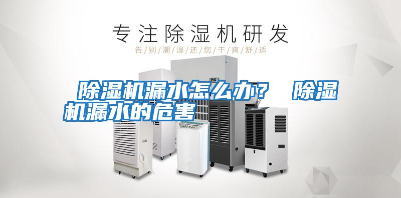 除濕機漏水怎么辦? 除濕機漏水的危害