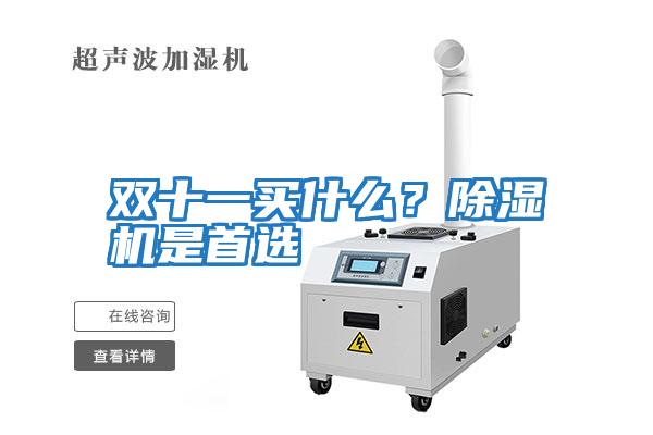 雙十一買什么？除濕機是首選