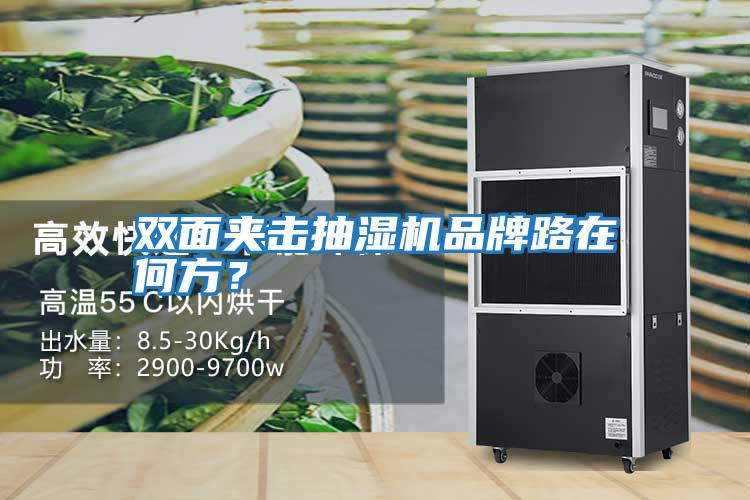 雙面夾擊抽濕機品牌路在何方？