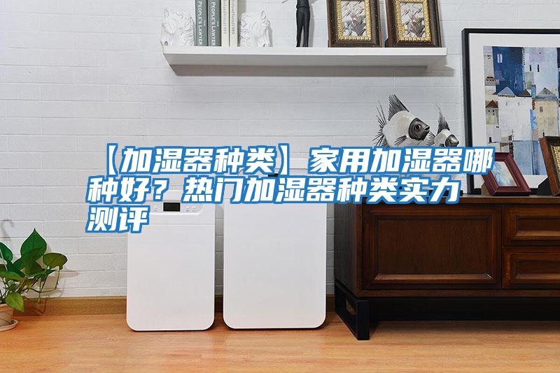 【加濕器種類】家用加濕器哪種好？熱門加濕器種類實力測評