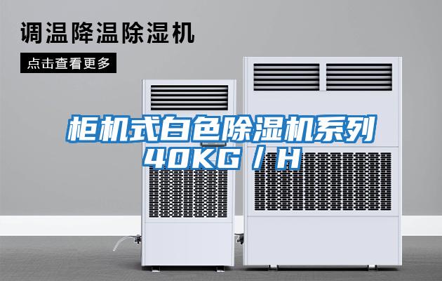 柜機式白色除濕機系列40KG/H
