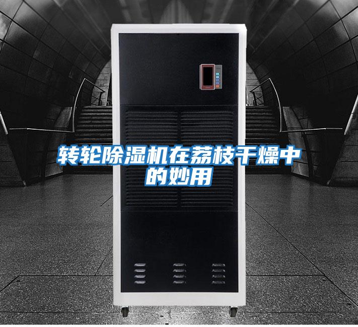 轉(zhuǎn)輪除濕機在荔枝干燥中的妙用