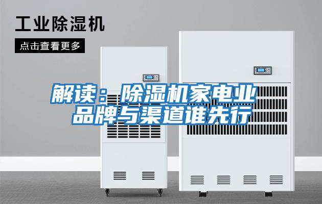 解讀:除濕機家電業 品牌與渠道誰先行
