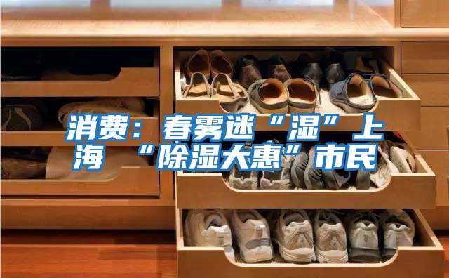 消費:春霧迷“濕”上海 “除濕大惠”市民