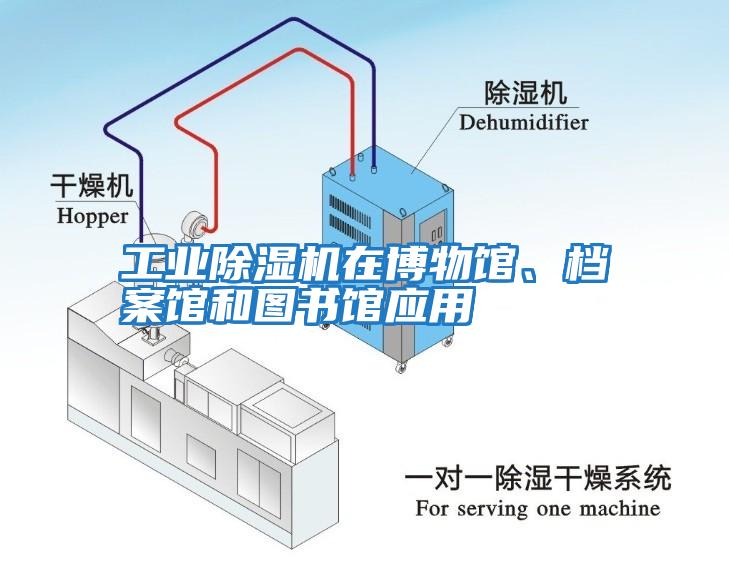 工業(yè)除濕機(jī)在博物館、檔案館和圖書館應(yīng)用
