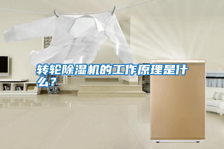 轉輪除濕機的工作原理是什么？