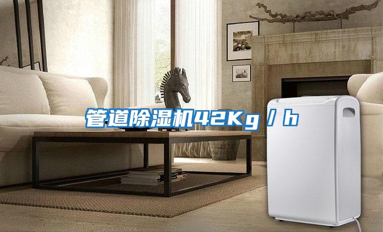 管道除濕機(jī)42Kg/h