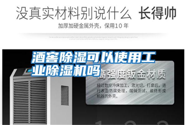 酒窖除濕可以使用工業除濕機嗎