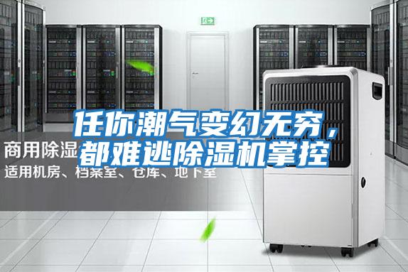 任你潮氣變幻無窮，都難逃除濕機掌控