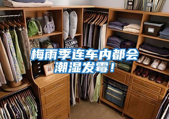 梅雨季連車內都會潮濕發霉！