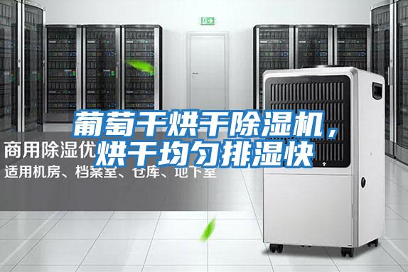 葡萄干烘干除濕機(jī),烘干均勻排濕快