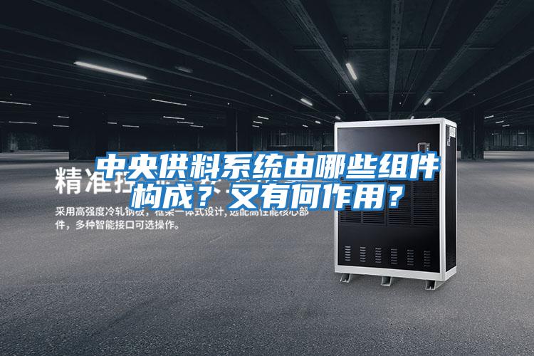 中央供料系統由哪些組件構成？又有何作用？