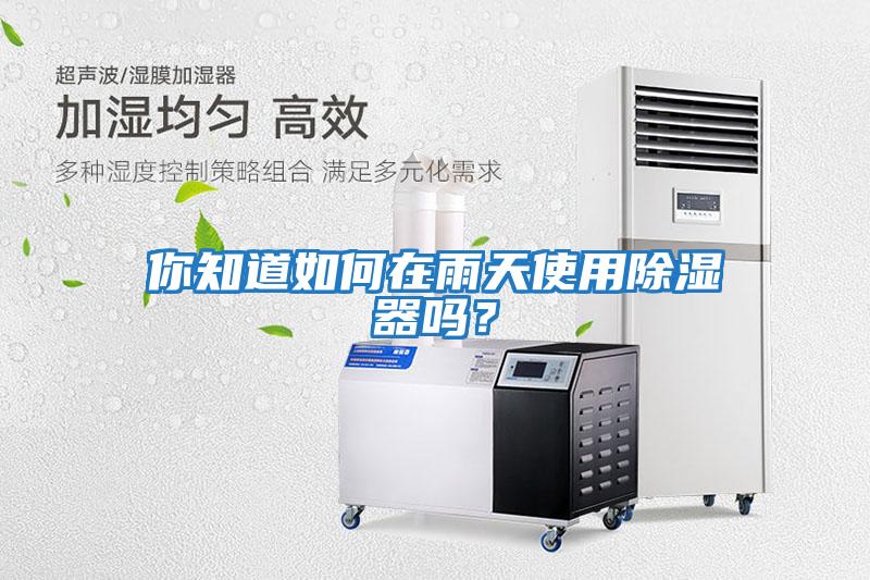 你知道如何在雨天使用除濕器嗎？