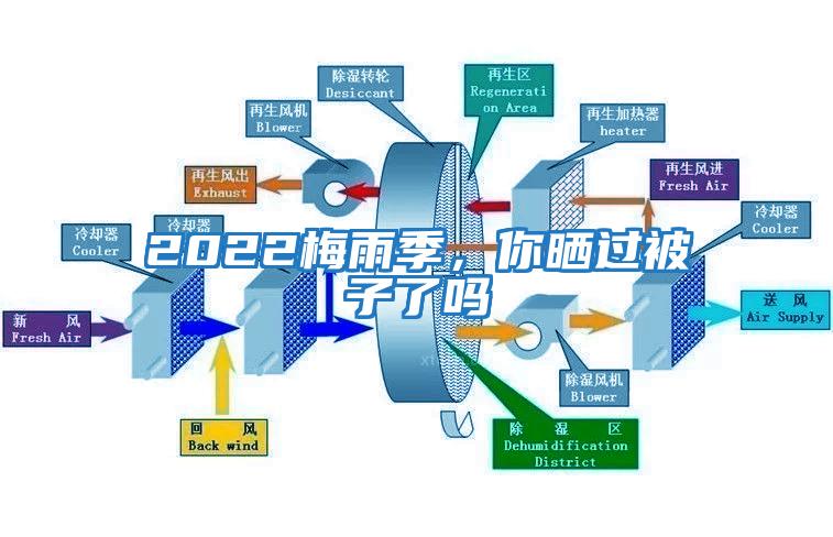 2022梅雨季，你曬過被子了嗎