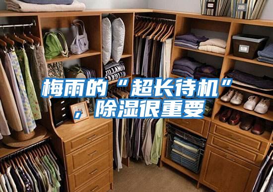 梅雨的“超長待機”，除濕很重要