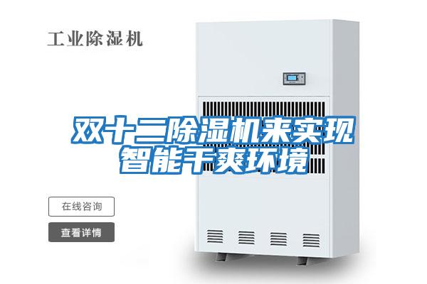 雙十二除濕機來實現智能干爽環境