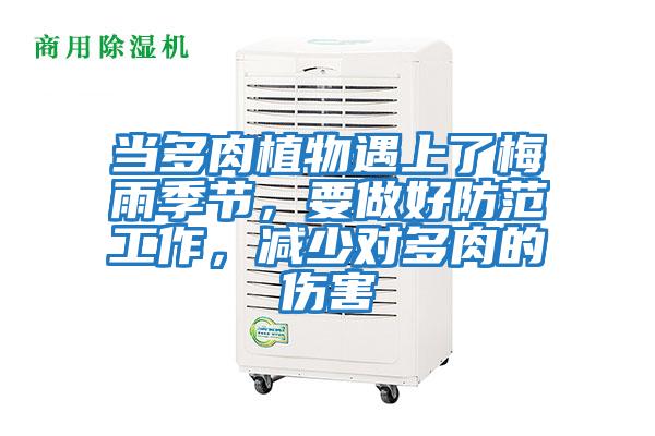 當多肉植物遇上了梅雨季節，要做好防范工作，減少對多肉的傷害
