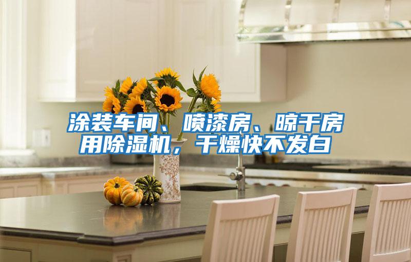 涂裝車(chē)間、噴漆房、晾干房用除濕機(jī)，干燥快不發(fā)白