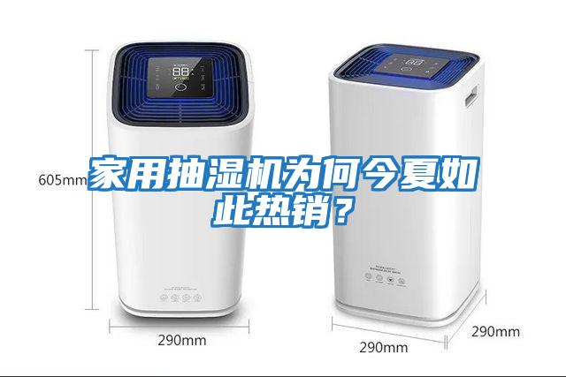 家用抽濕機為何今夏如此熱銷？