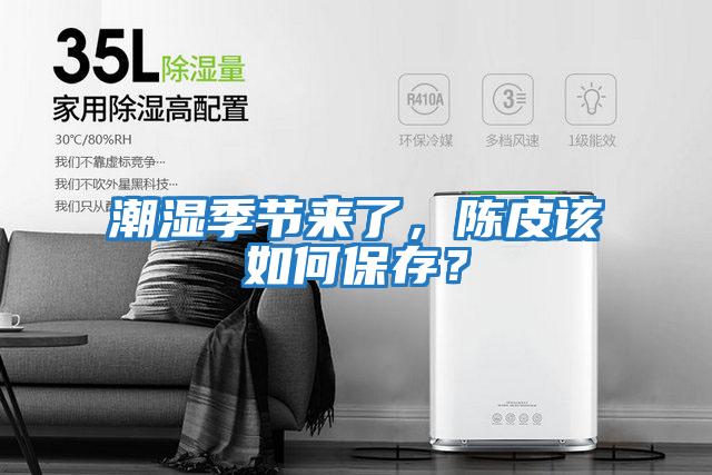 潮濕季節來了,陳皮該如何保存?