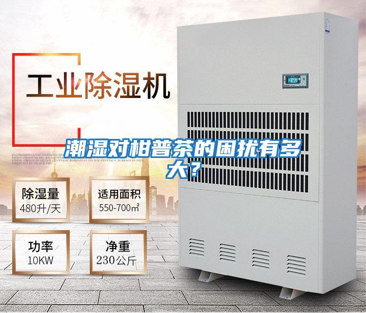 潮濕對柑普茶的困擾有多大?