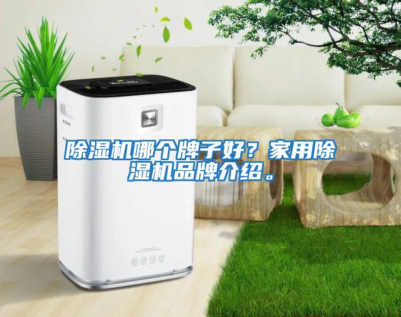 除濕機哪個牌子好?家用除濕機品牌介紹。