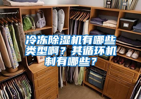 冷凍除濕機有哪些類型?。科溲h機制有哪些？