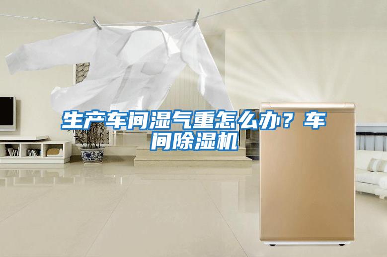 生產車間濕氣重怎么辦？車間除濕機