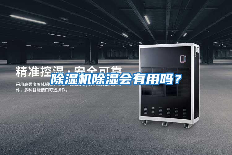 除濕機除濕會有用嗎？