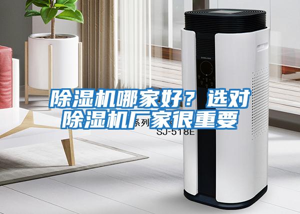 除濕機(jī)哪家好？選對(duì)除濕機(jī)廠家很重要