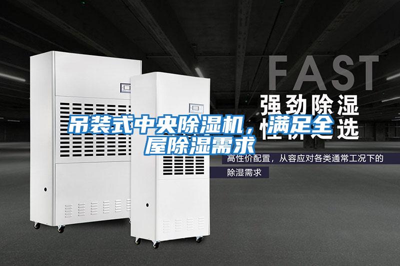 吊裝式中央除濕機,滿足全屋除濕需求