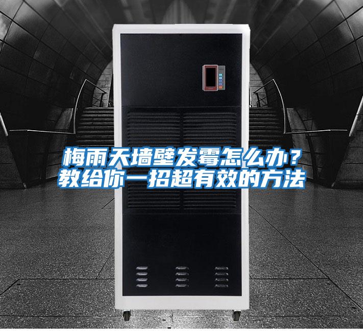 梅雨天墻壁發(fā)霉怎么辦？教給你一招超有效的方法