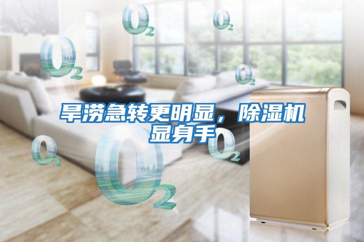 旱澇急轉(zhuǎn)更明顯，除濕機(jī)顯身手