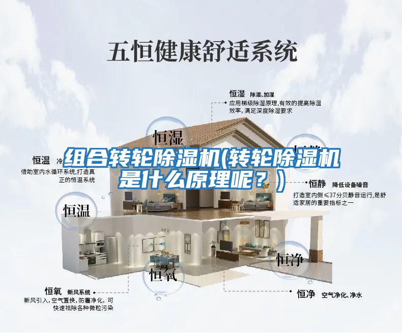 組合轉輪除濕機(轉輪除濕機是什么原理呢？)